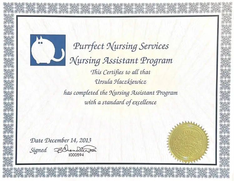 Nursing Program Certification